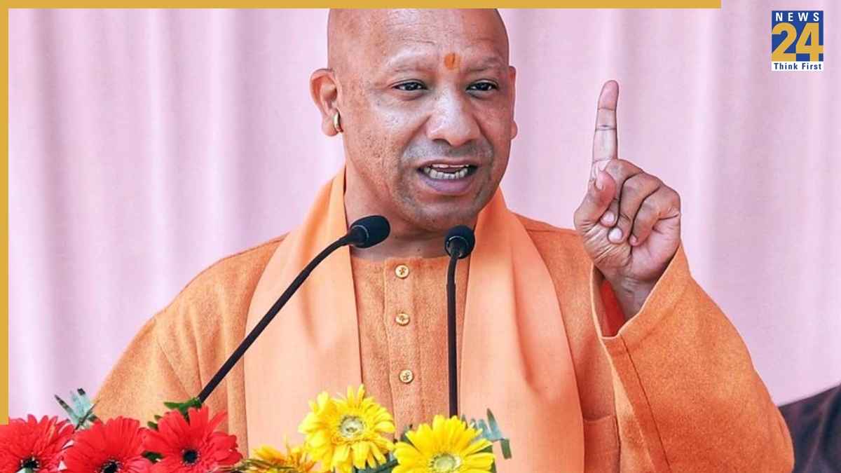 yogi news
