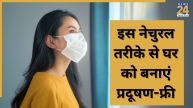 How to Prevent Air Pollution Naturally