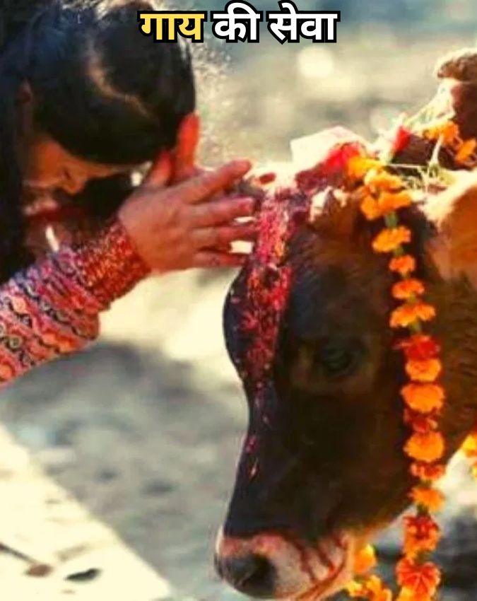 SUCCESS_2ff011 -1-2-3-4-5-6-7-8