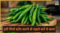 how to store green chillies in freezer