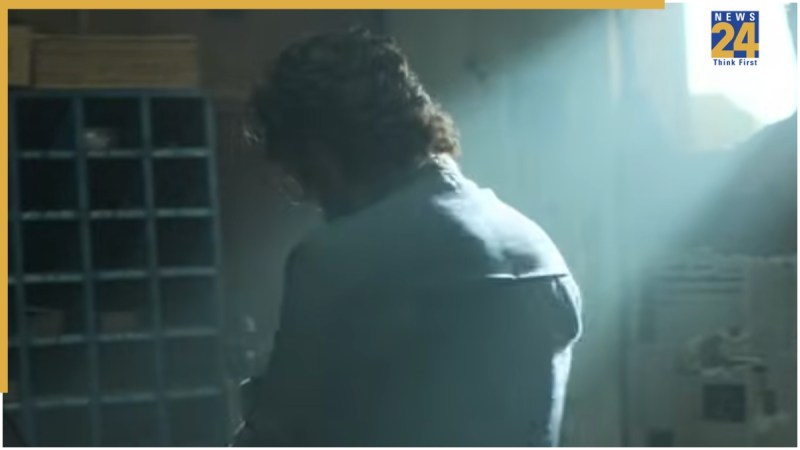 2025 Bollywood Most Earning Film