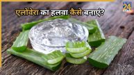 Aloe Vera Halwa