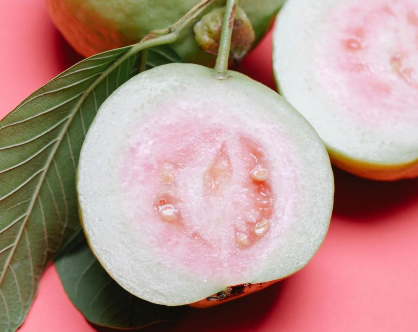 Guava Benefits Daily Guava Benefits Daily-1-2-3-4-5-6