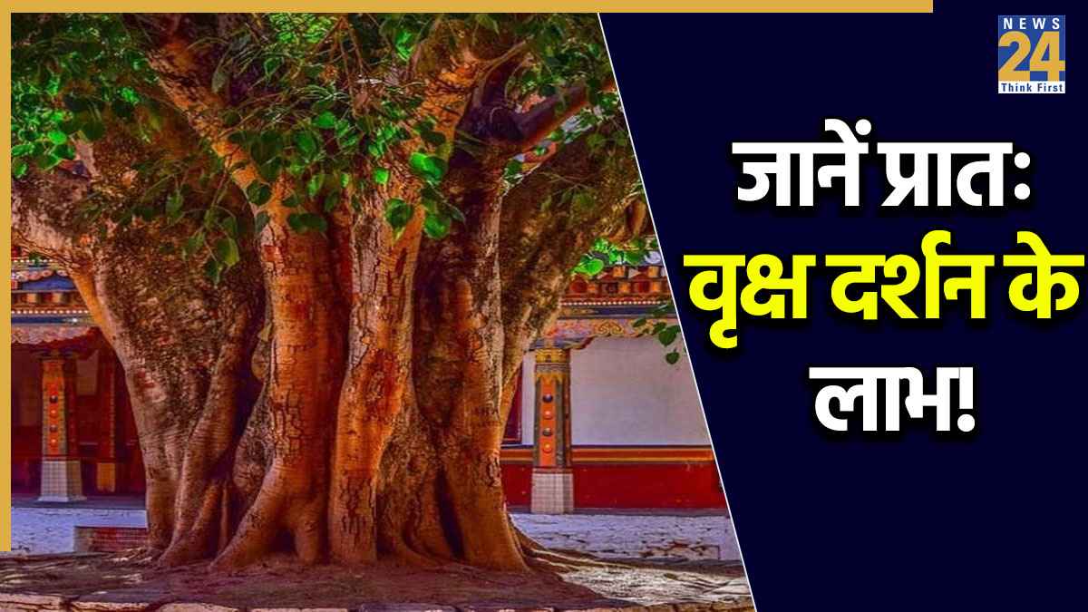 Auspicious Morning Tree: सुबह-सुबह इन 5 पेड़-पौधों का दर्शन दिन बनाता है शुभ; रोग, शोक, धन संकट भी होते हैं दूर