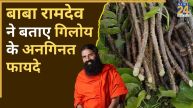 BABA RAMDEV Giloy benefits