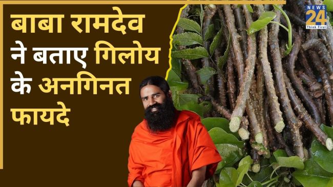 BABA RAMDEV Giloy benefits