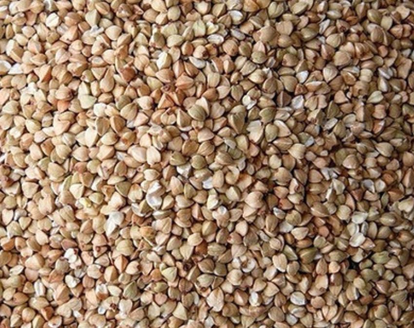 Bajra ki Roti-1-2-3-4-5-6-7