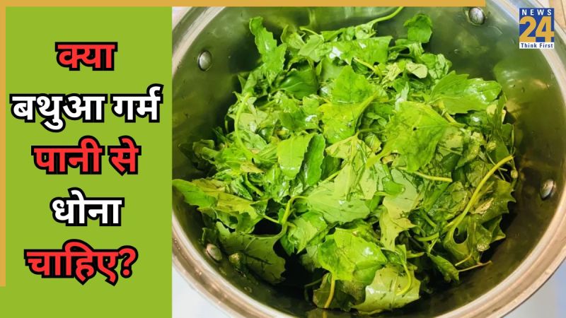 Bathua Leaves Cleaning Tips (2)