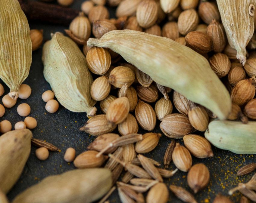 Dhaniya Ka pani Peene Ke Fayde-1-2-3-4-5-6