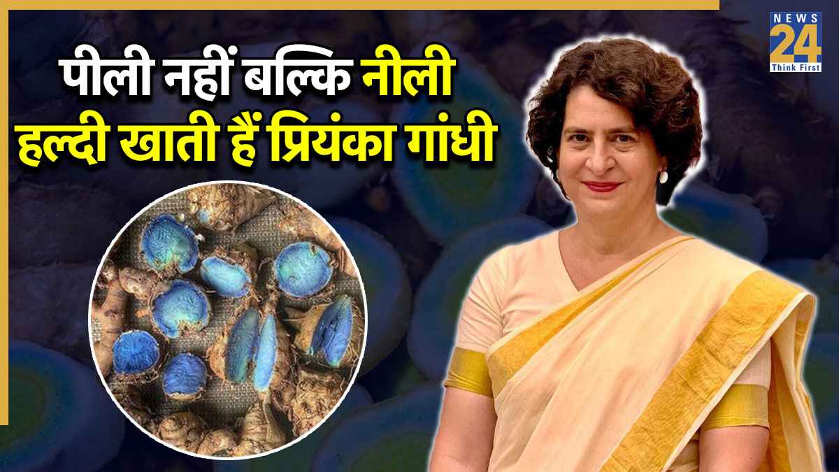 नीली हल्दी खाती हैं प्रियंका गांधी, चाय पार्टी में PM मोदी ने पूछे थे फायदे, आपको भी चौंका देगी Blue Turmeric