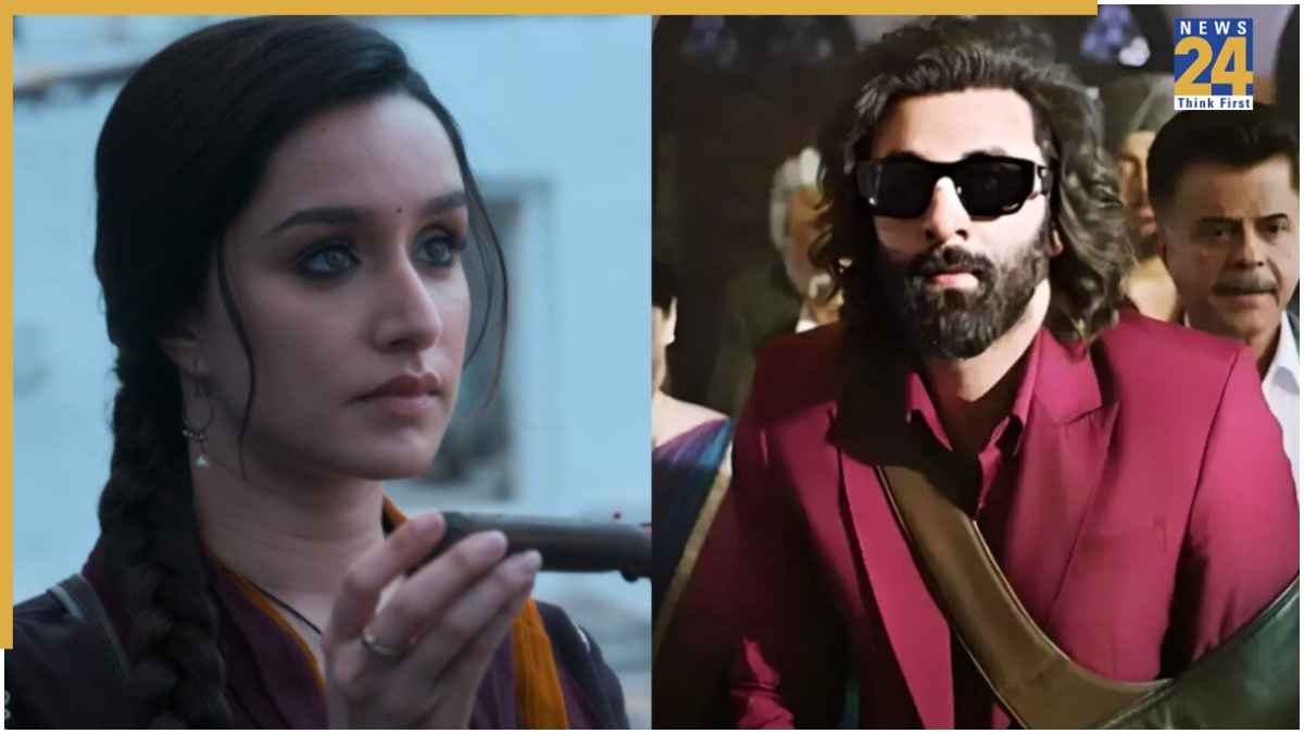 Bollywood Films in 800 Crore Club Worldwide