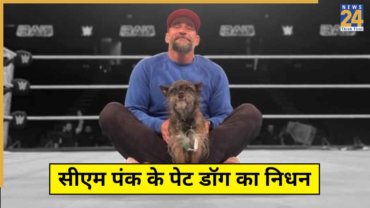 CM Punk Pet Died