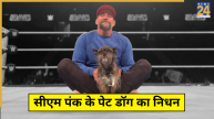 CM Punk Pet Died
