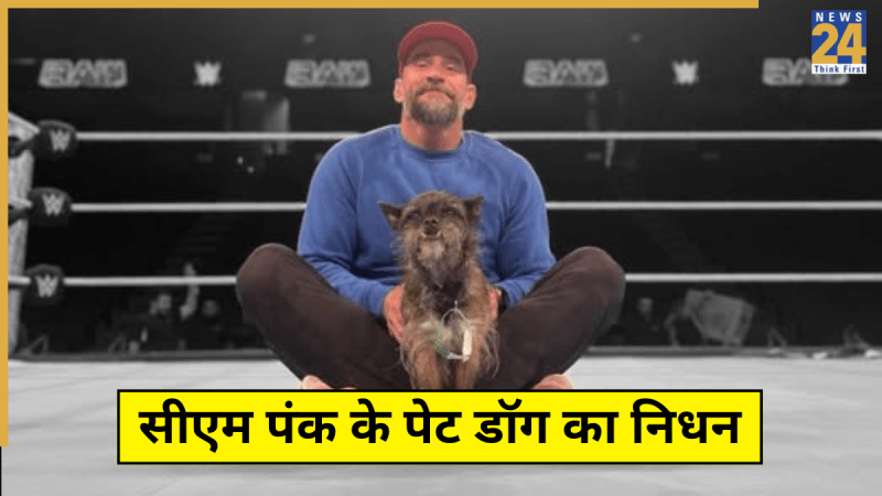 CM Punk CM Punk Pet Died