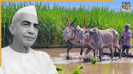 National Farmers Day