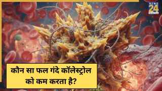 अगले 3 महीनों में कॉलेस्ट्रोल को कम कर देगा यह फल, नसों से पिघलकर निकलने लगेगी गंदगी