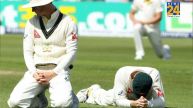 Cricket Australia Loss Crores