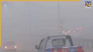 Delhi AQI | Weather Forecast | Fog Smog