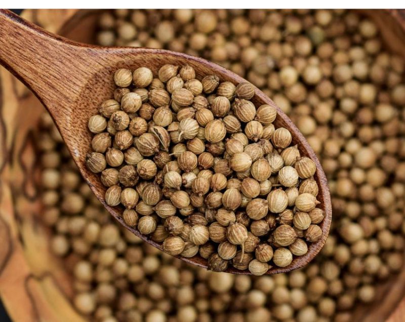 Dhaniya Ka pani Peene Ke Fayde Dhaniya Ka pani Peene Ke Fayde-1-2