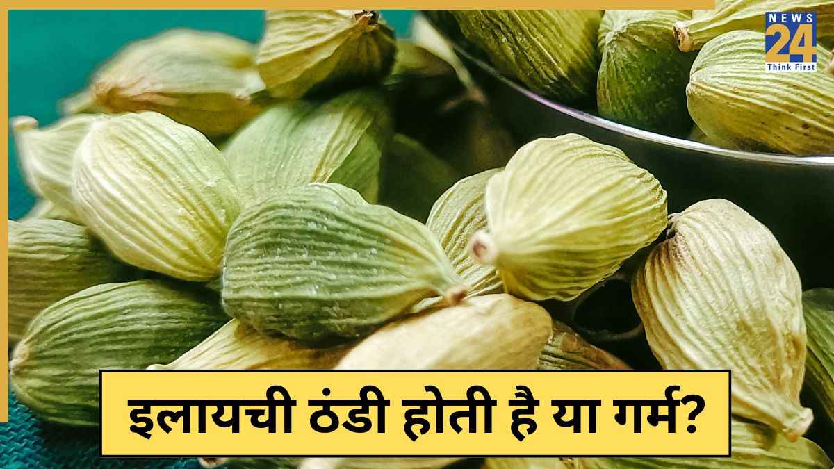 इलायची गर्म है या ठंडी? न्यूट्रिशनिस्ट से जानिए रात को सोते समय इलायची खाने से क्या फायदा होगा