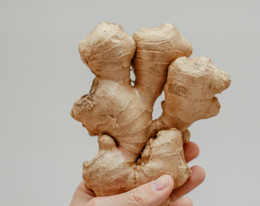 Ginger Benefits Ginger Benefits-1-2-3-4