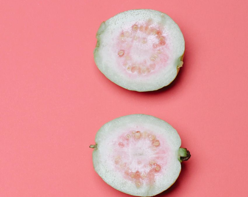 Guava Benefits Daily Guava Benefits Daily-1-2-3-4-5-6-7-8