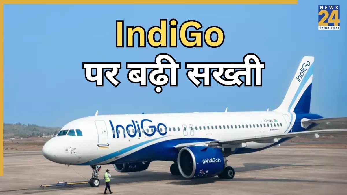 INDIGO (1)