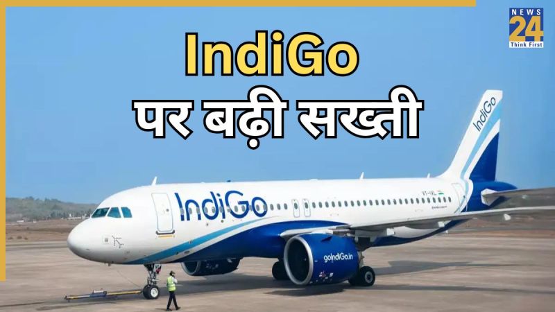 INDIGO (1)