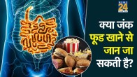 Junk food
