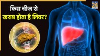 Symptoms of Liver Disease