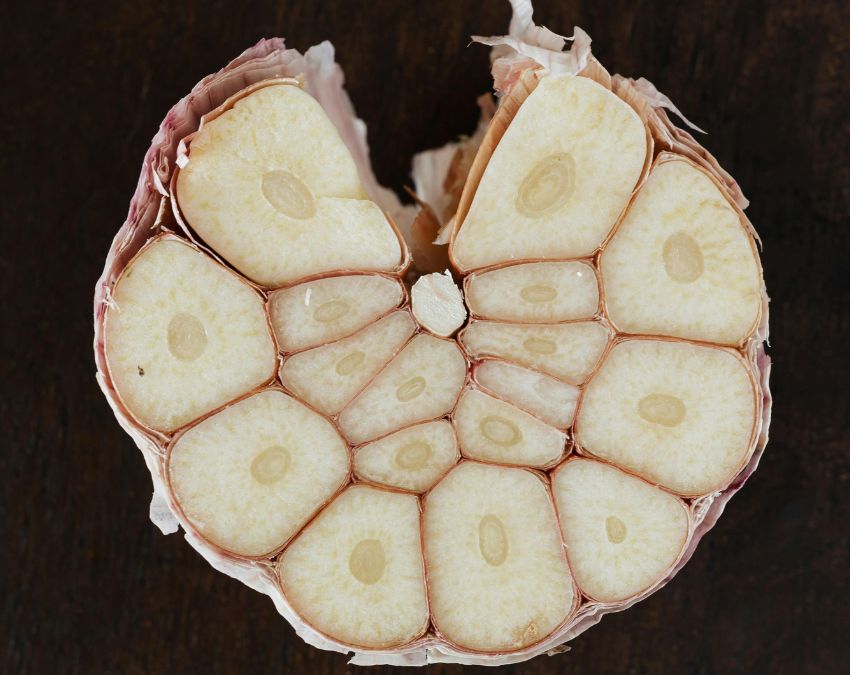 Garlic Benefits-1-2-3