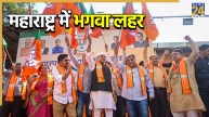 Maharashtra Election BJP wins