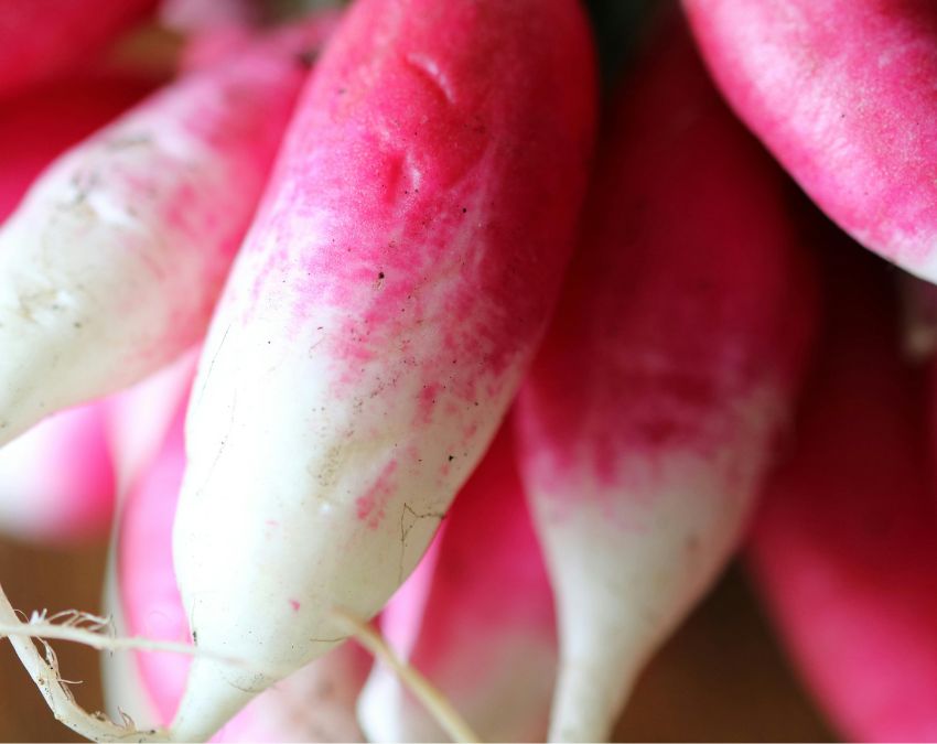 Mooli Ke Fayde Mooli Ke Fayde-1-2-3-4-5-6-7