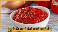 Mooli ki chutney recipe in hindi