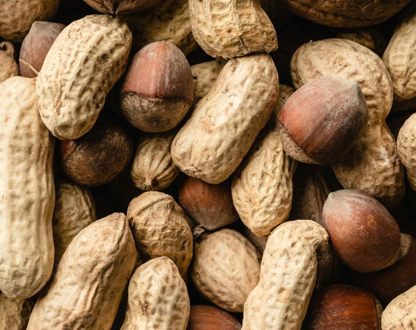 Moongfali Kise Nahi Khana Chahiye-1-2-3-4