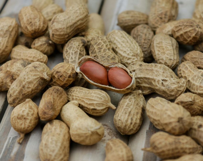 Moongfali Kise Nahi Khana Chahiye-1-2