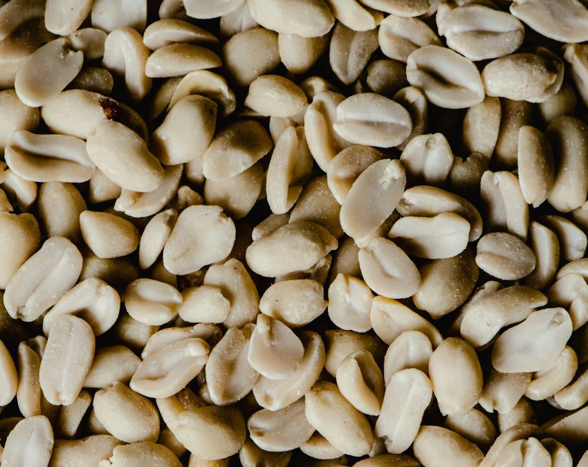 Moongfali Kise Nahi Khana Chahiye-1-2-3-4-5-6-7