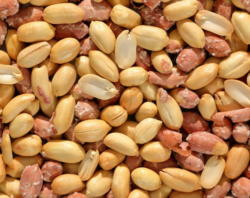 Moongfali Kise Nahi Khana Chahiye-1-2-3-4-5-6