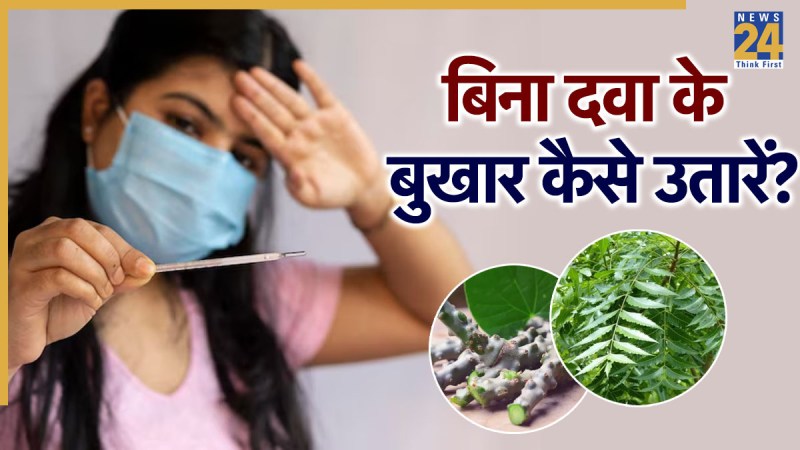 One Hour Fever Ayurvedic Neem And Giloy Leave One Hour Fever Ayurvedic Neem And Giloy Leave