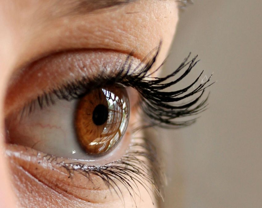 Papita Khane Ke Fayde-1-2-3-4-5-6-7-8-9