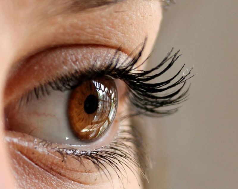 Papita Khane Ke Fayde Papita Khane Ke Fayde-1-2-3-4-5-6-7-8-9