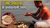 Paush Amavasya 2025 Upay
