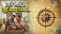 Plant Vastu Tips
