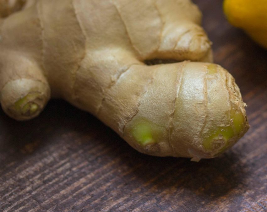 Ginger Benefits Ginger Benefits-1-2-3-4-5-6-7