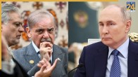 Shehbaz Sharif and putin