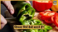 Shimla Mirch Katne Ka Tarika