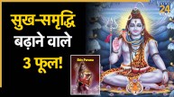 Shiva-Purana
