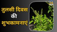 Tulsi Diwas Wishes