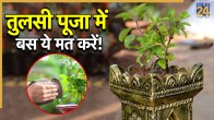 Tulsi-Puja-Niyam