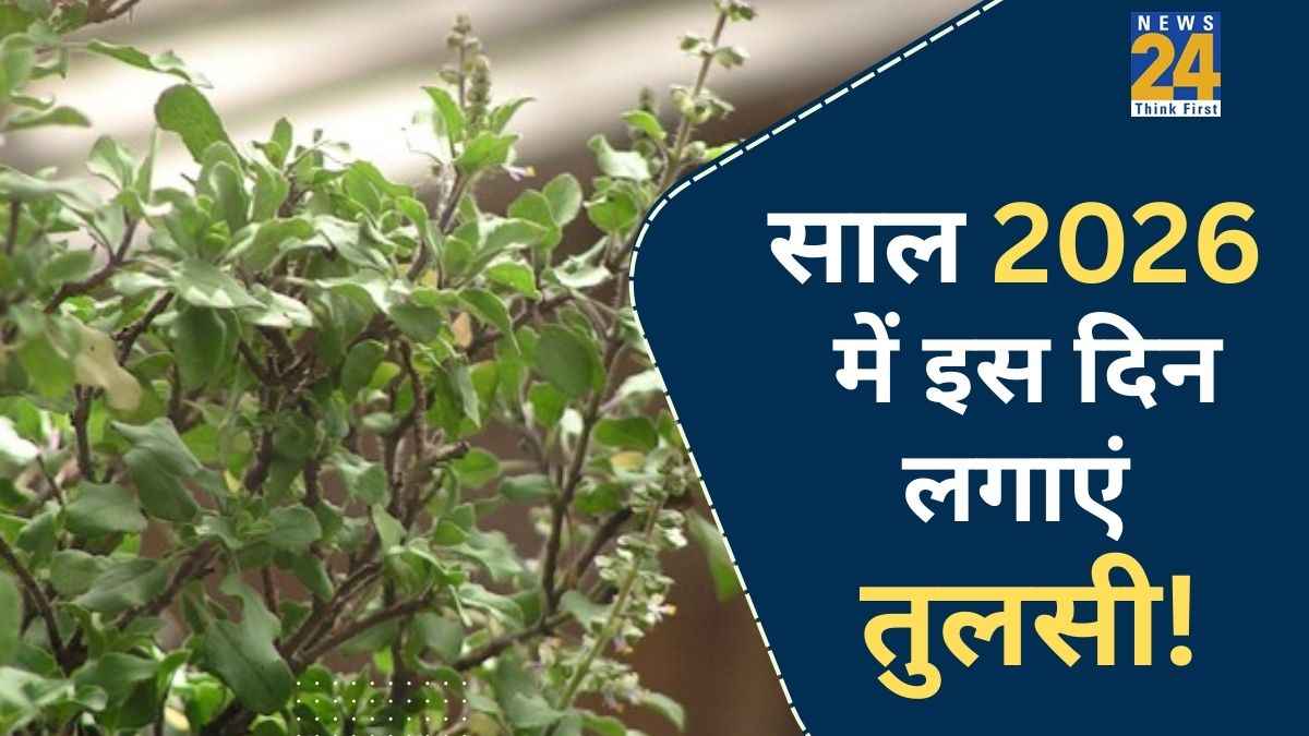 Tulsi ke Niyam: साल 2026 में इस शुभ दिन तुलसी लगाते ही खुल जाएंगे धन के रास्ते, संवरने लगेगी किस्मत